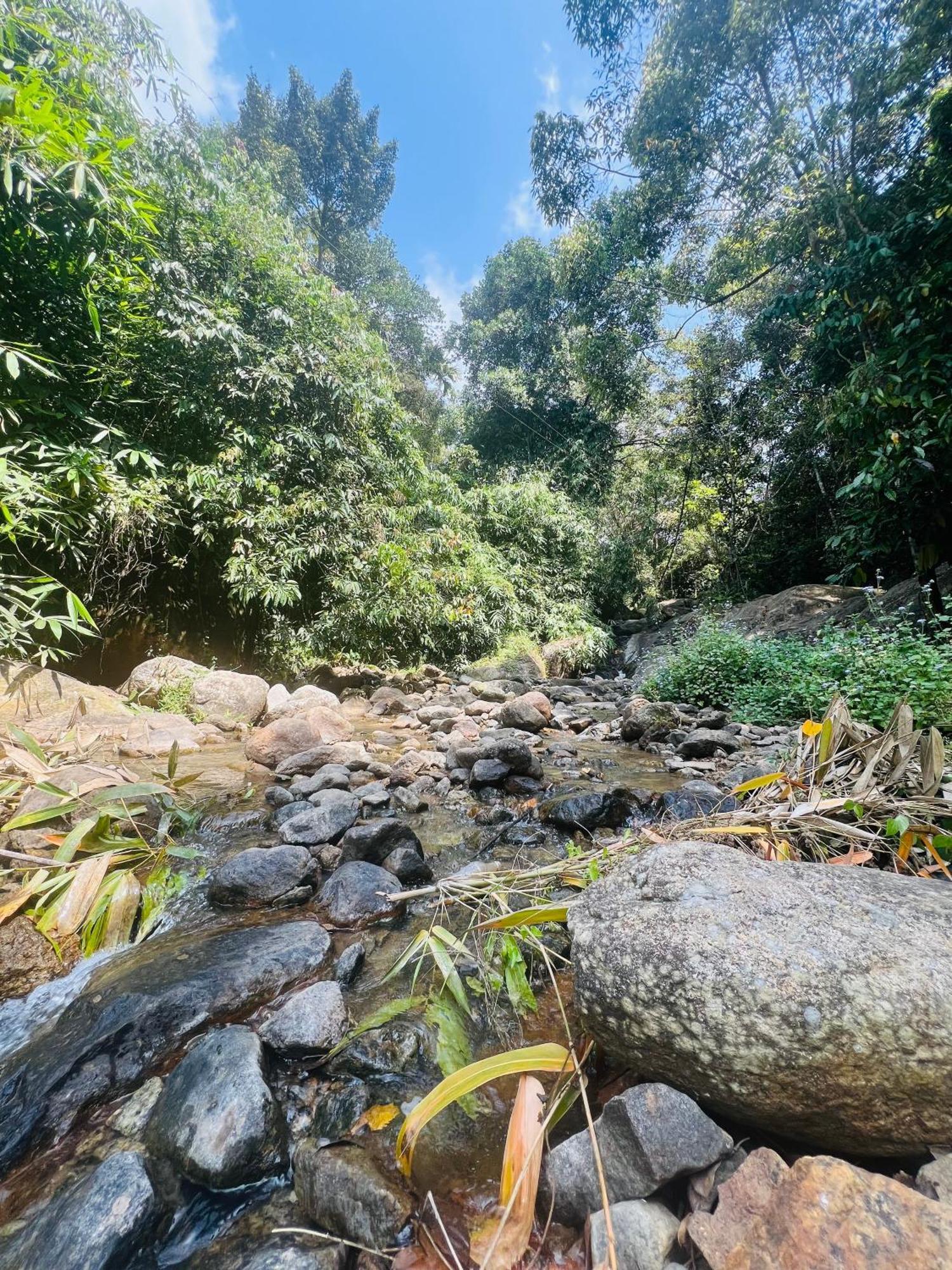 Mount Court Munnar 호텔 외부 사진