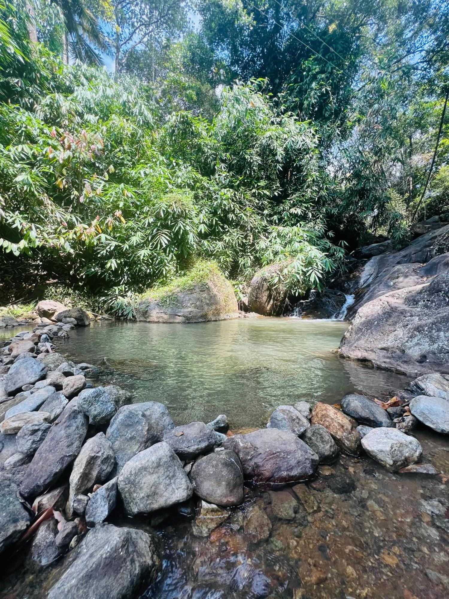 Mount Court Munnar 호텔 외부 사진