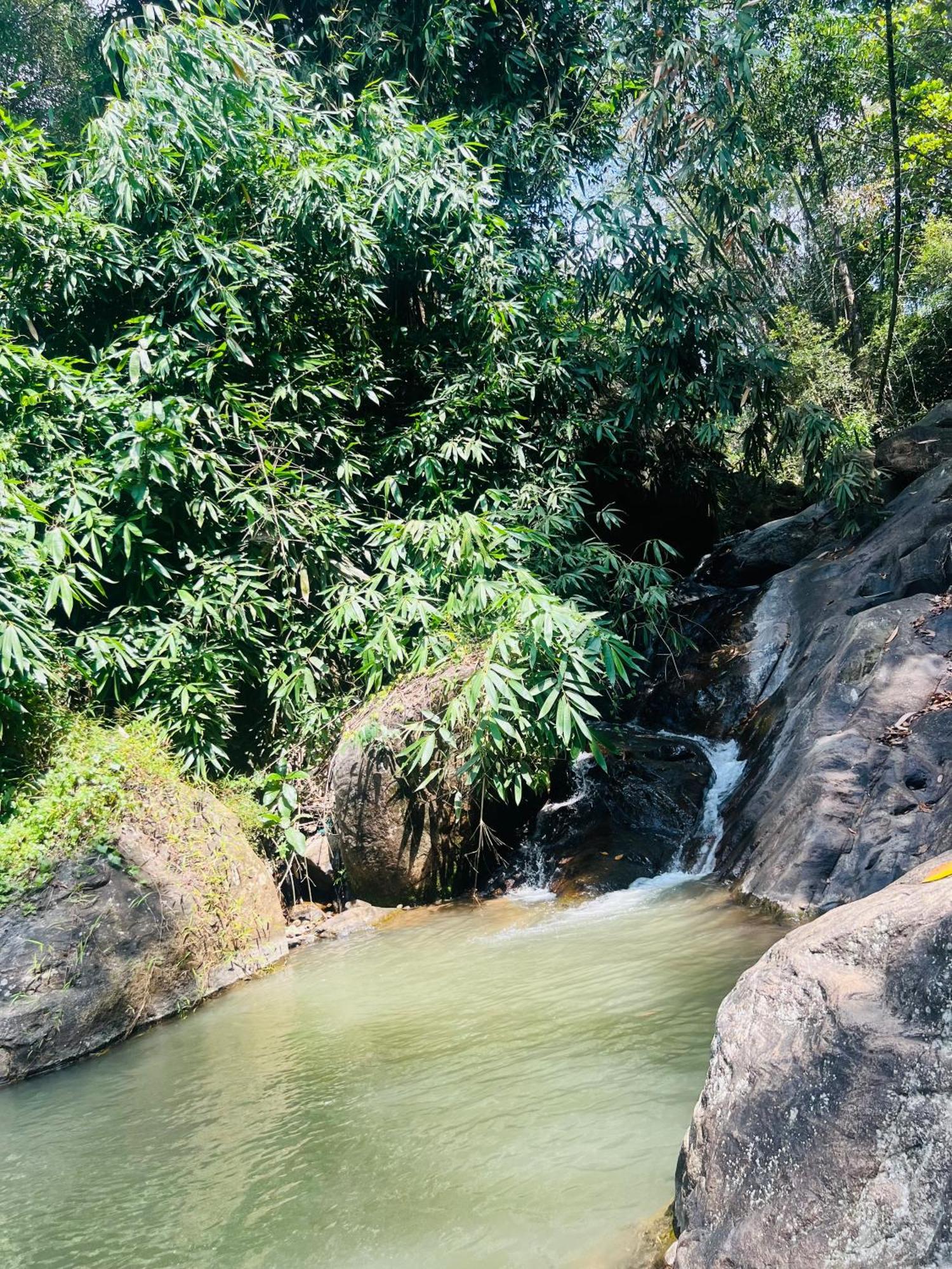 Mount Court Munnar 호텔 외부 사진